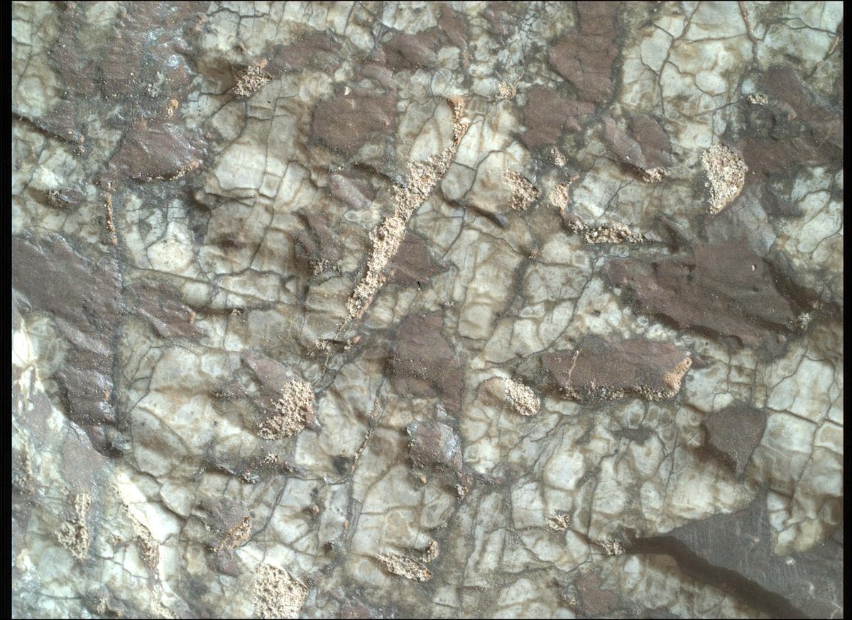 Mars rover photo