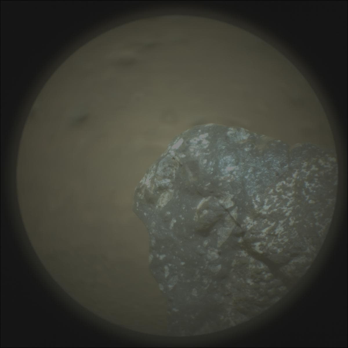 Mars image captured by SUPERCAM_RMI on Perseverance