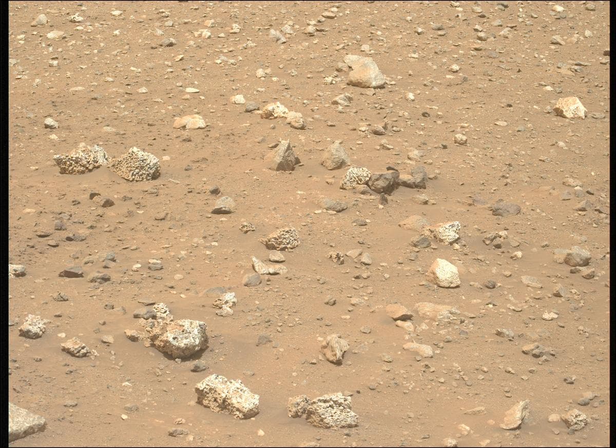 Mars image captured by MCZ_LEFT on Perseverance