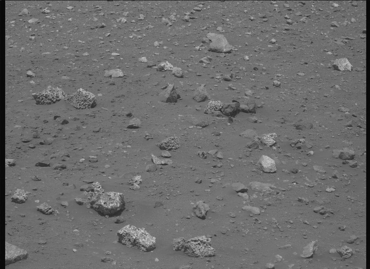 Mars image captured by MCZ_LEFT on Perseverance