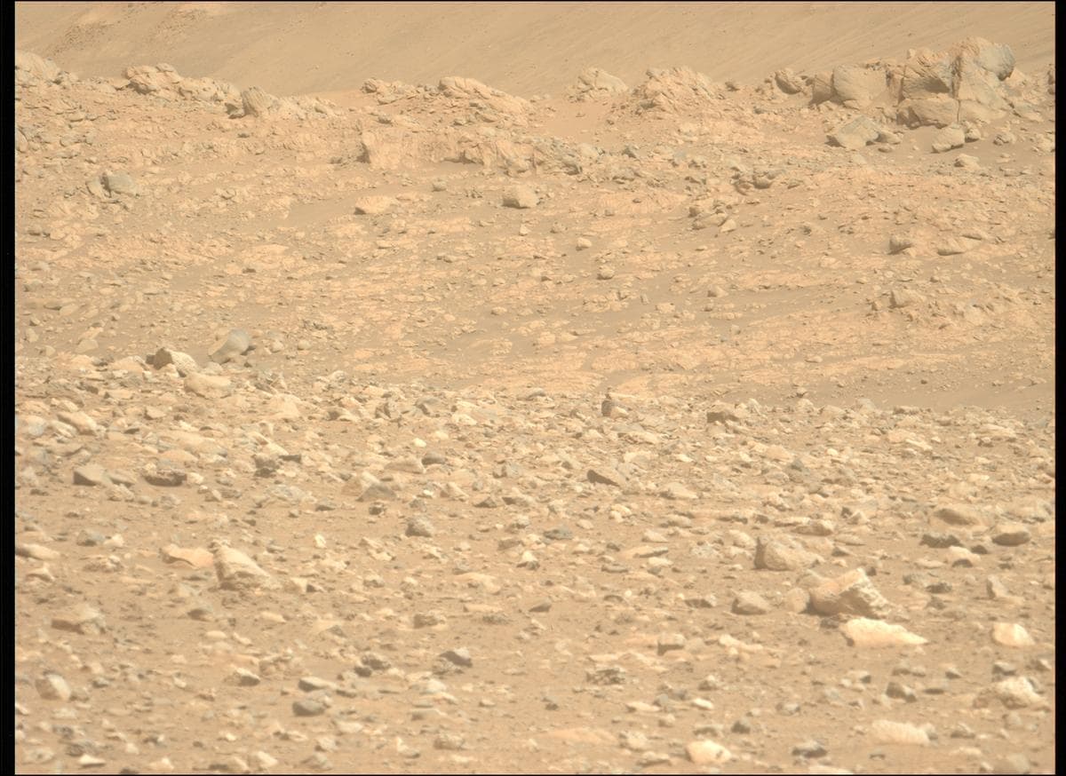 Mars image captured by MCZ_LEFT on Perseverance
