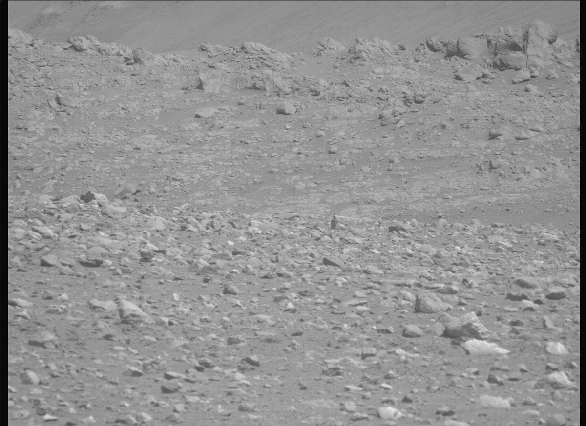 Mars image captured by MCZ_LEFT on Perseverance
