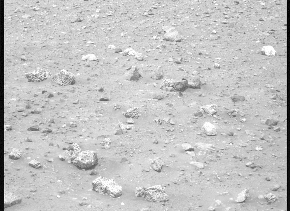 Mars image captured by MCZ_LEFT on Perseverance