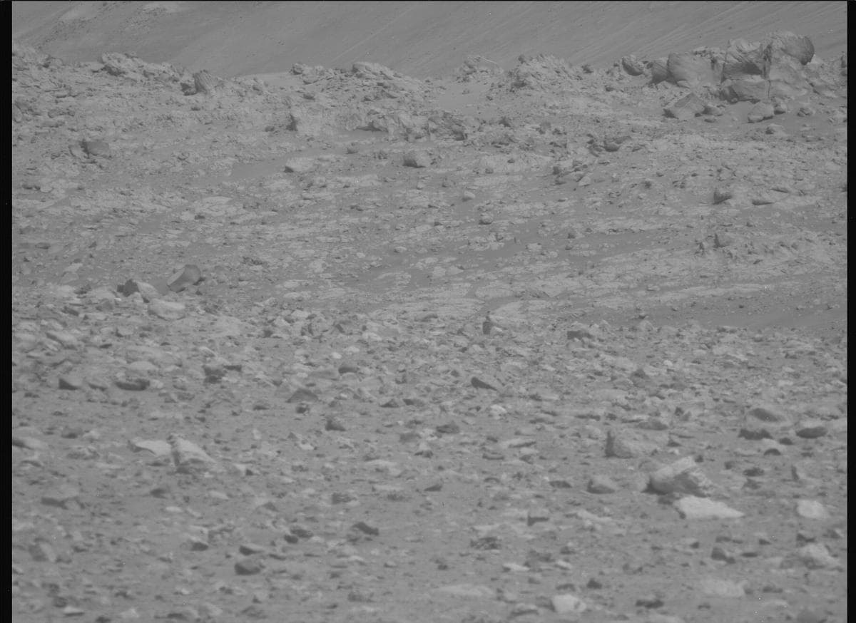 Mars image captured by MCZ_LEFT on Perseverance