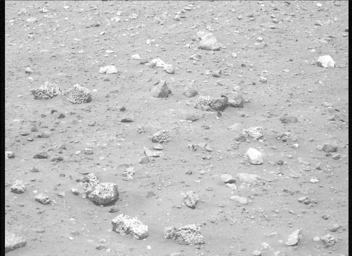 Mars image captured by MCZ_LEFT on Perseverance