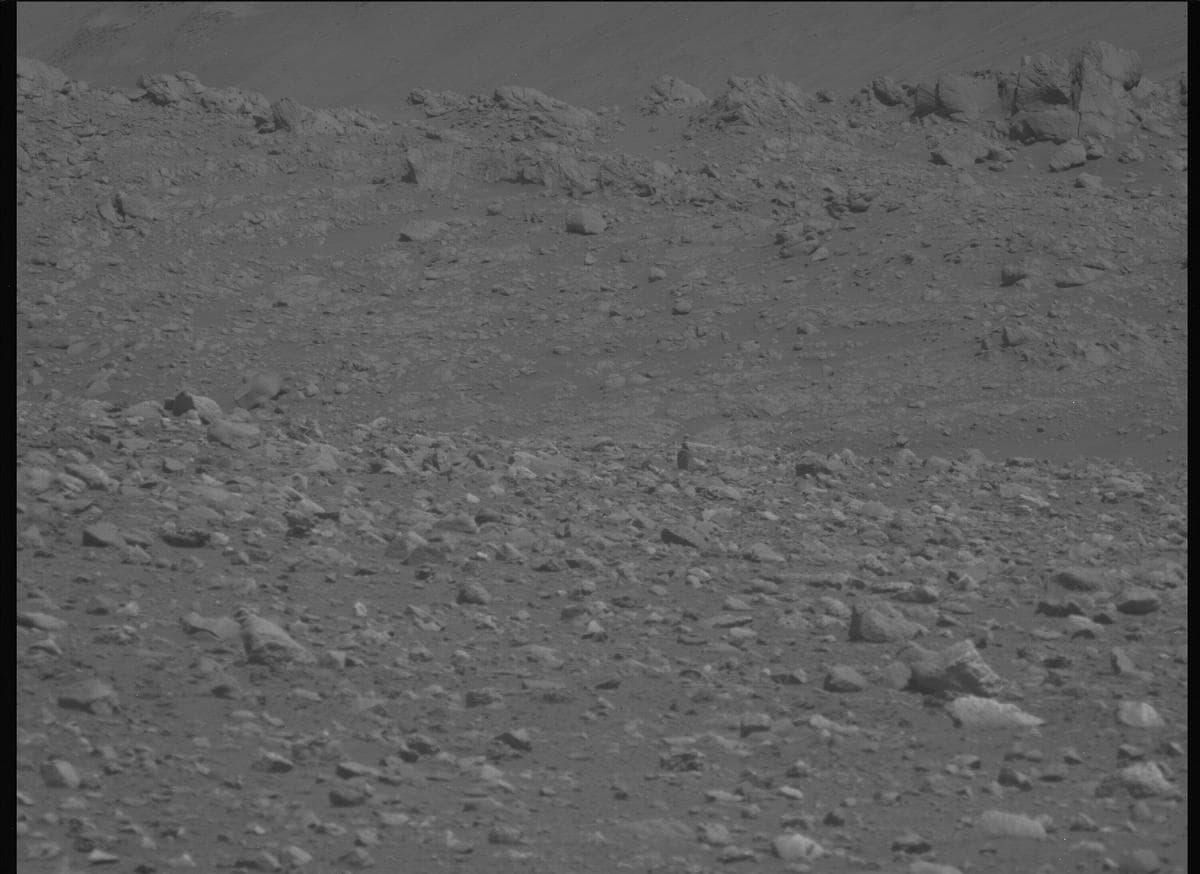 Mars image captured by MCZ_LEFT on Perseverance