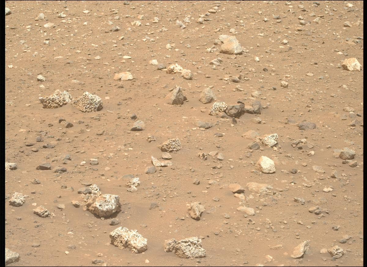 Mars image captured by MCZ_RIGHT on Perseverance