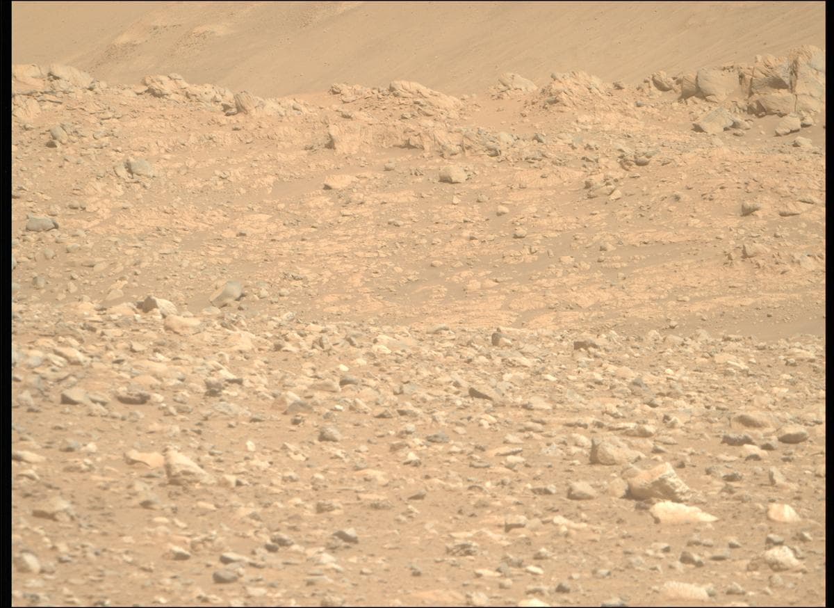 Mars image captured by MCZ_RIGHT on Perseverance
