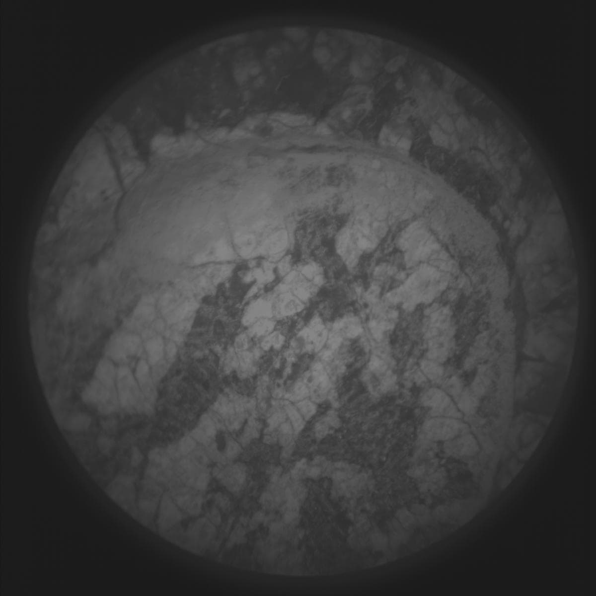 Mars image captured by SUPERCAM_RMI on Perseverance