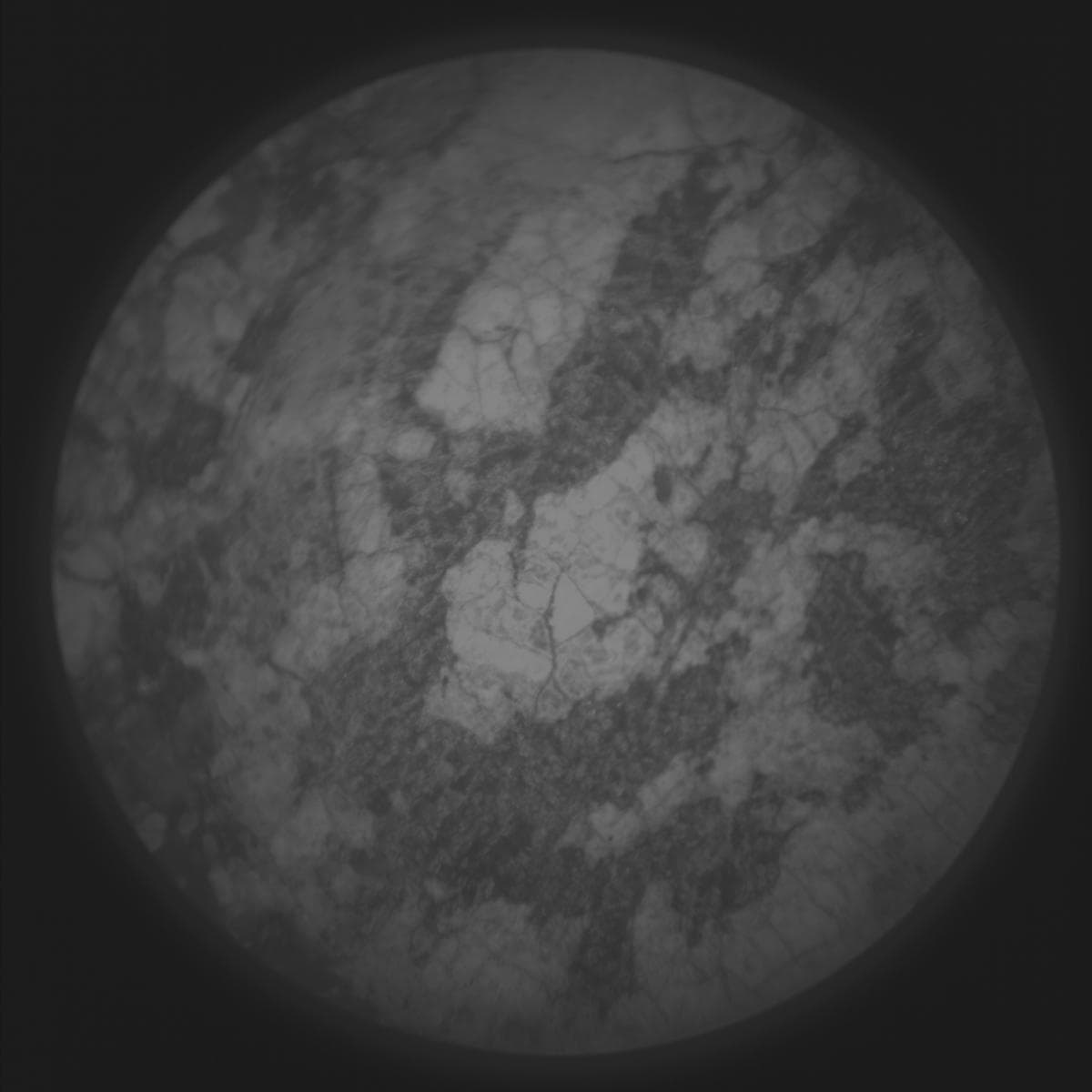 Mars image captured by SUPERCAM_RMI on Perseverance