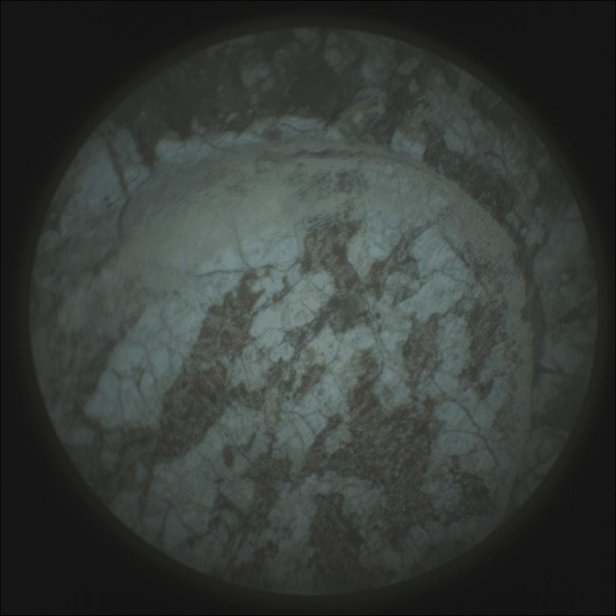 Mars image captured by SUPERCAM_RMI on Perseverance