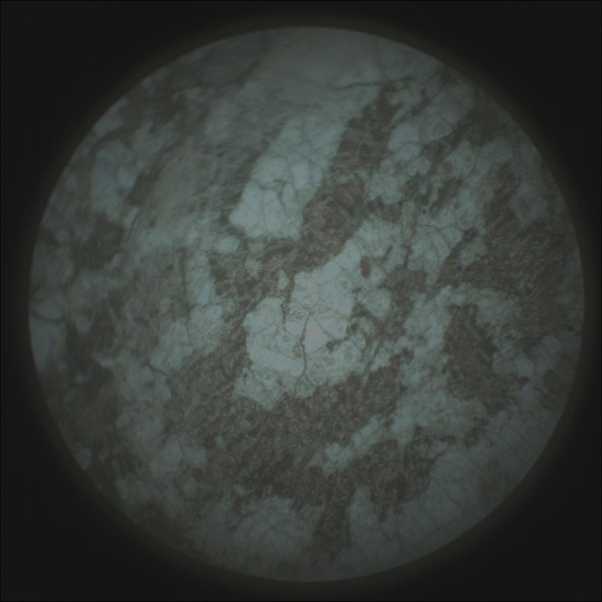 Mars image captured by SUPERCAM_RMI on Perseverance