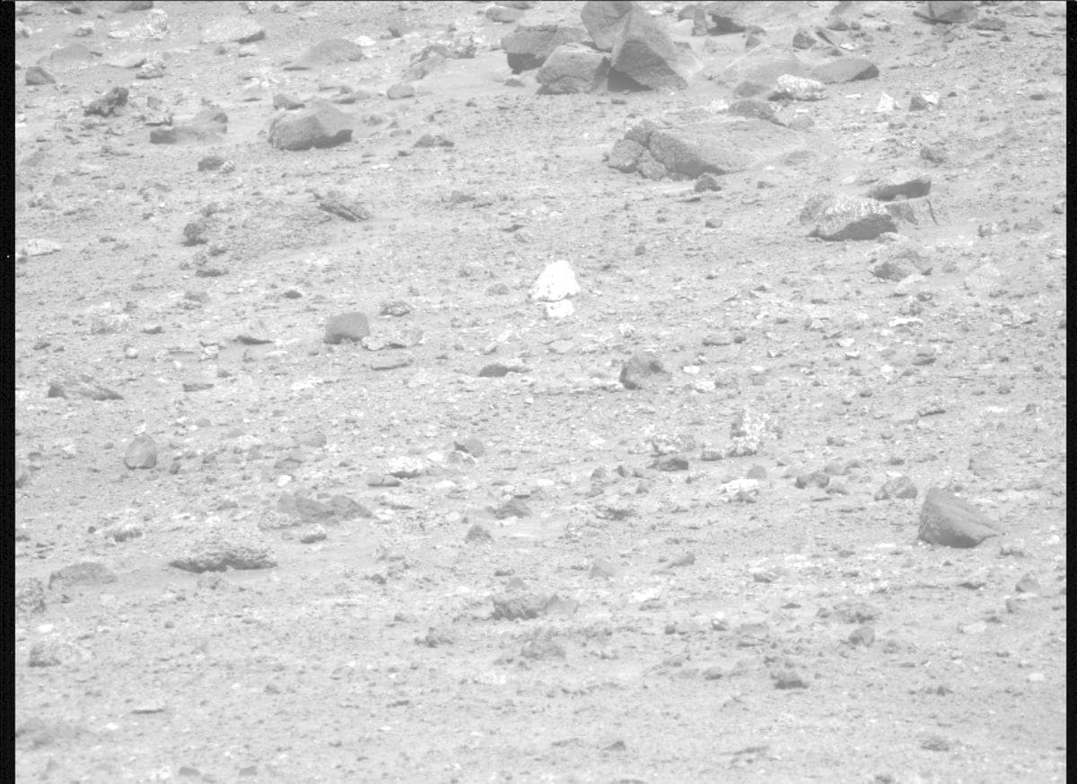 Mars image captured by MCZ_LEFT on Perseverance