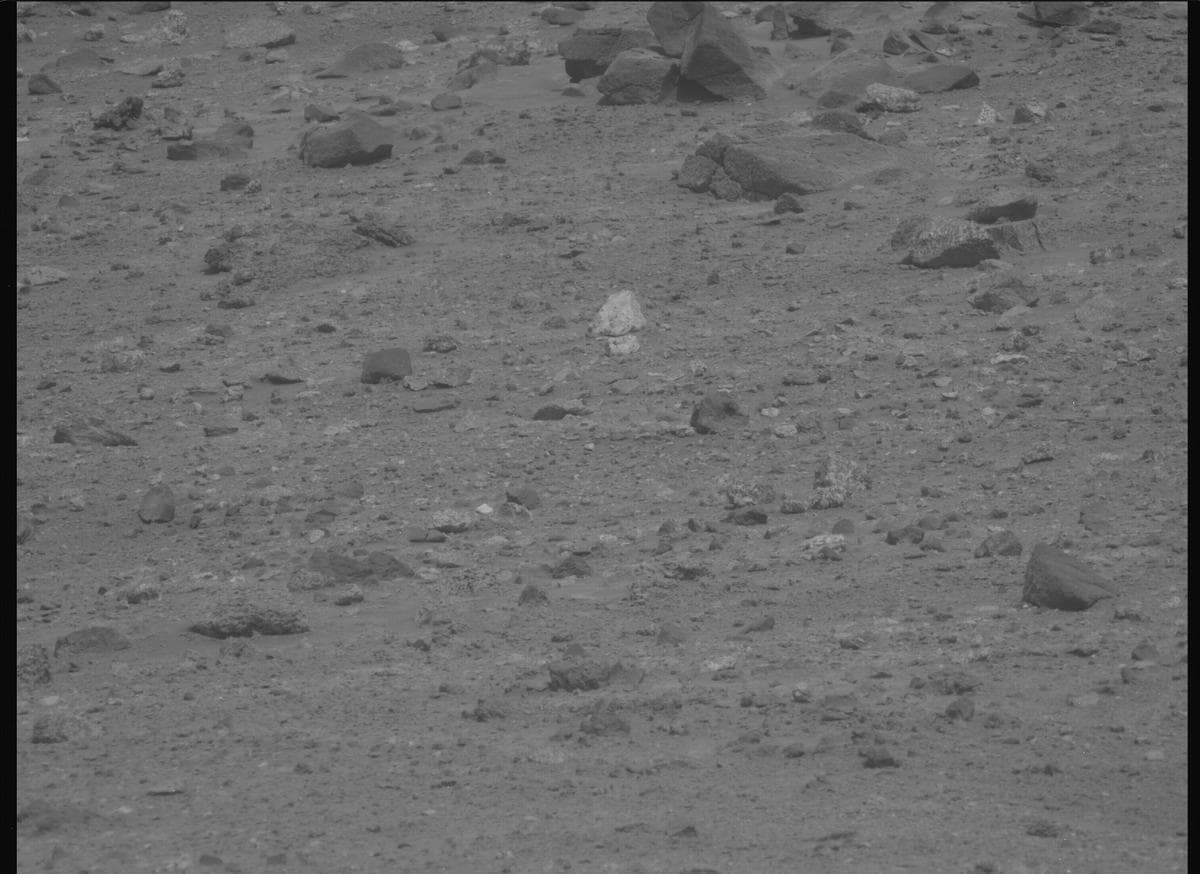 Mars image captured by MCZ_LEFT on Perseverance