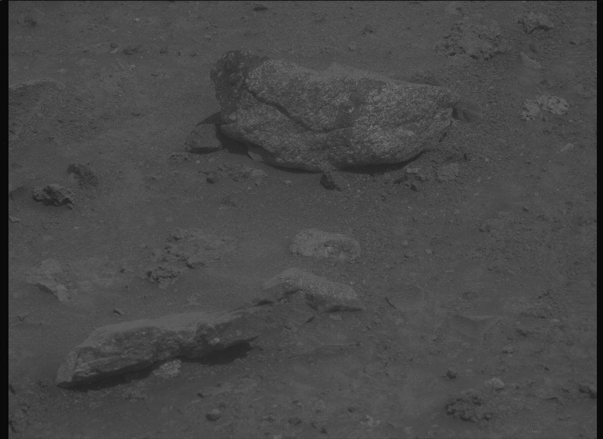 Mars image captured by MCZ_LEFT on Perseverance