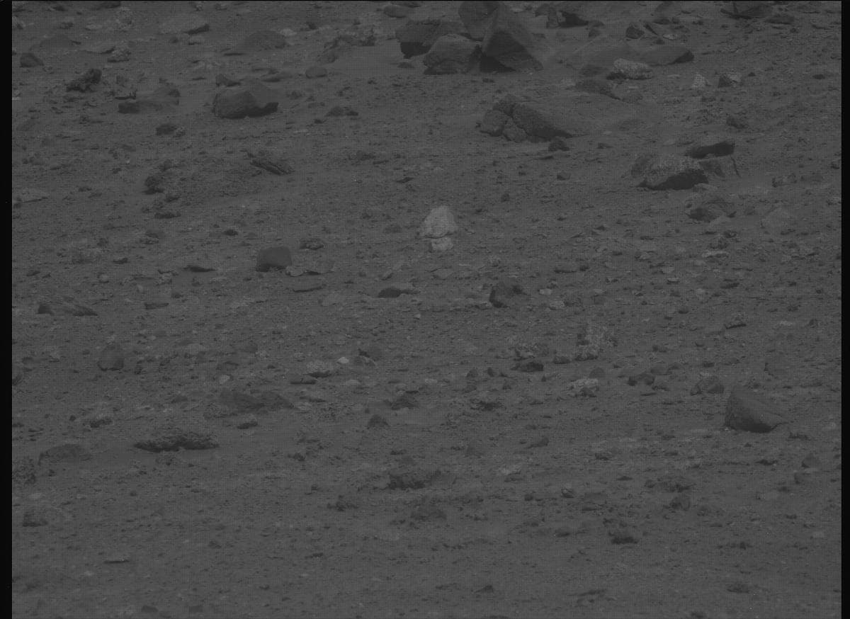 Mars image captured by MCZ_LEFT on Perseverance