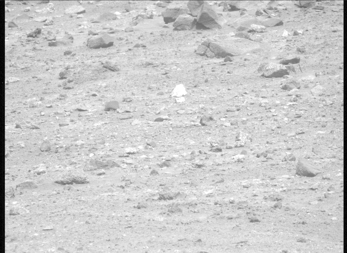Mars image captured by MCZ_LEFT on Perseverance