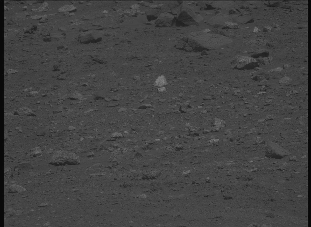Mars image captured by MCZ_LEFT on Perseverance