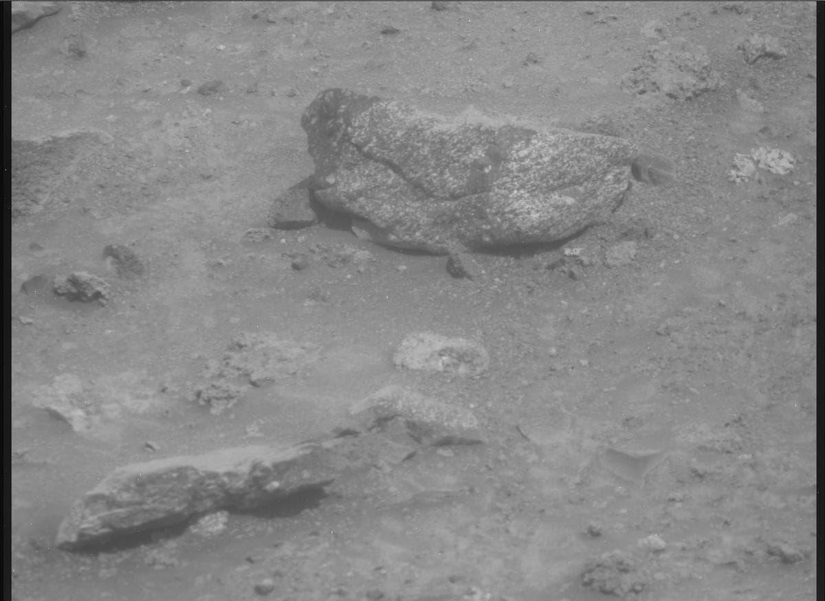 Mars image captured by MCZ_RIGHT on Perseverance
