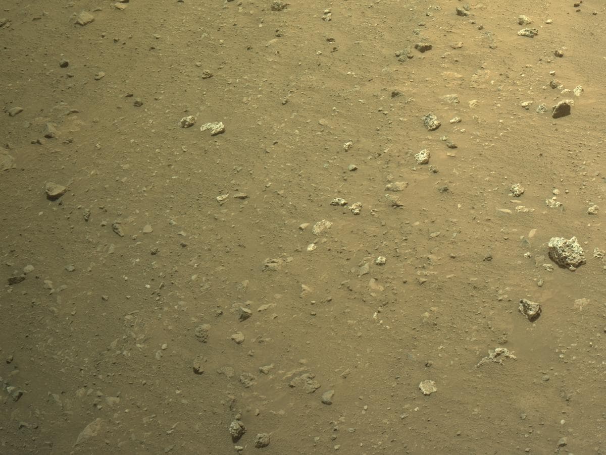 Mars image captured by NAVCAM_LEFT on Perseverance