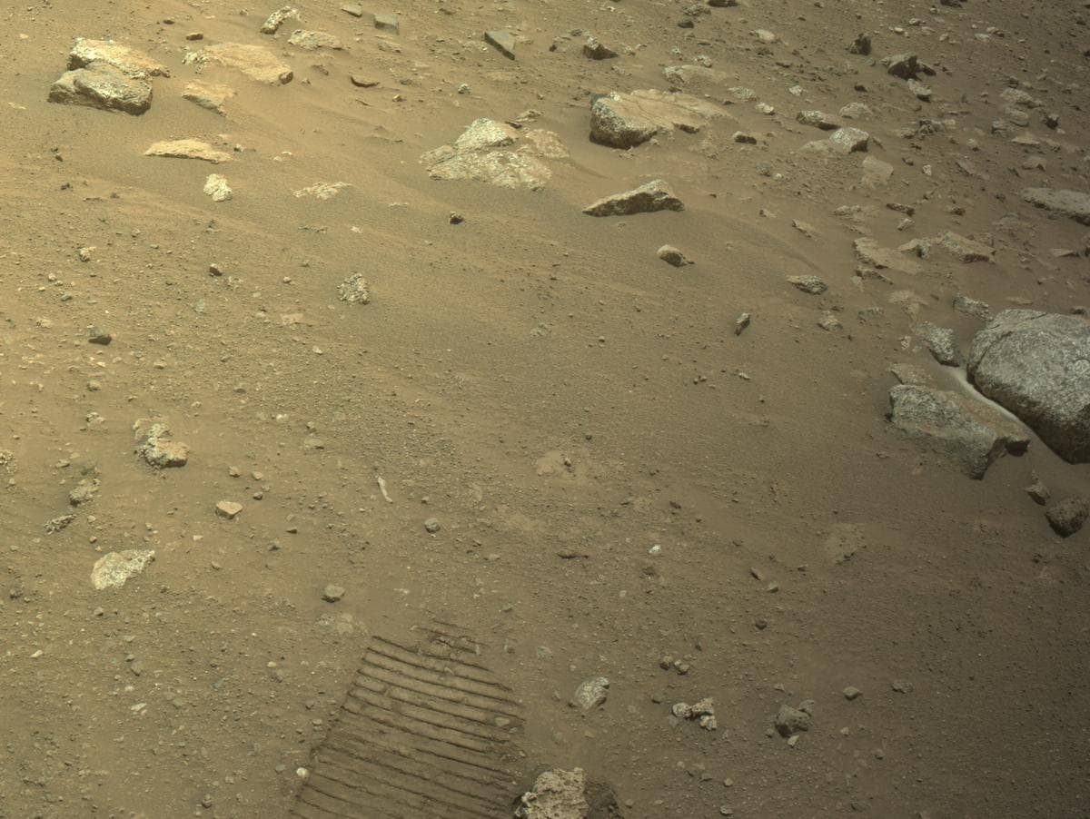 Mars image captured by NAVCAM_LEFT on Perseverance