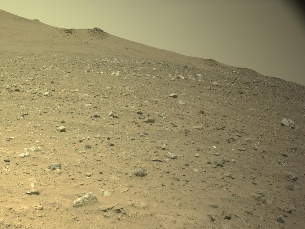 Mars image captured by NAVCAM_LEFT on Perseverance