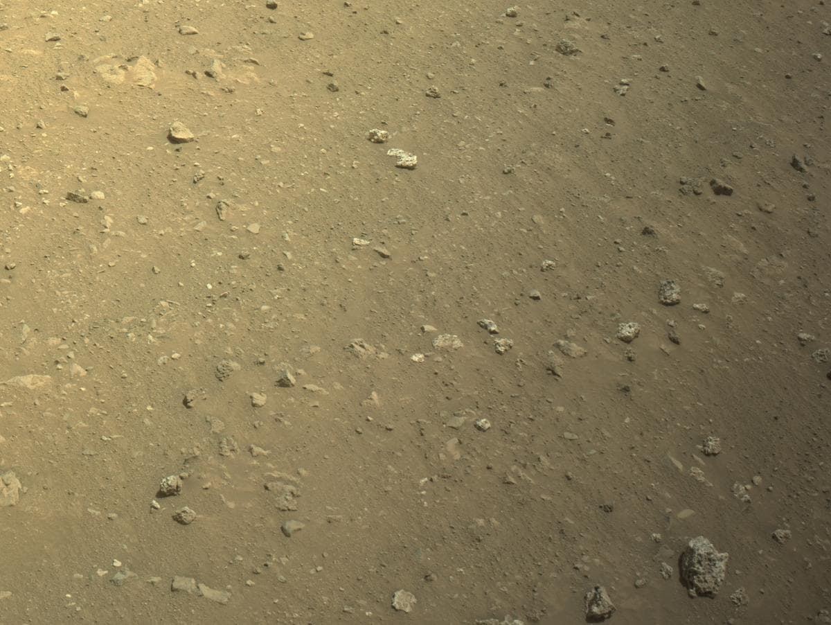 Mars image captured by NAVCAM_RIGHT on Perseverance