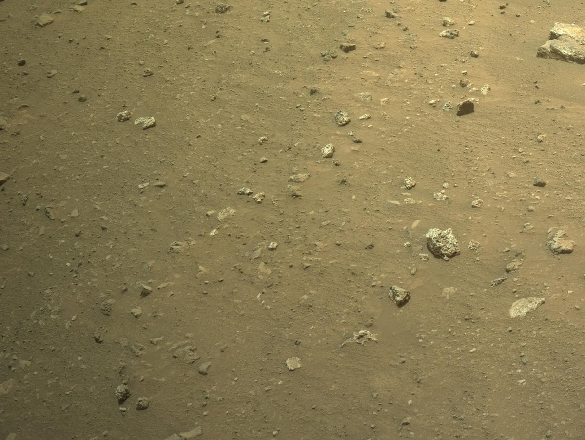 Mars image captured by NAVCAM_RIGHT on Perseverance