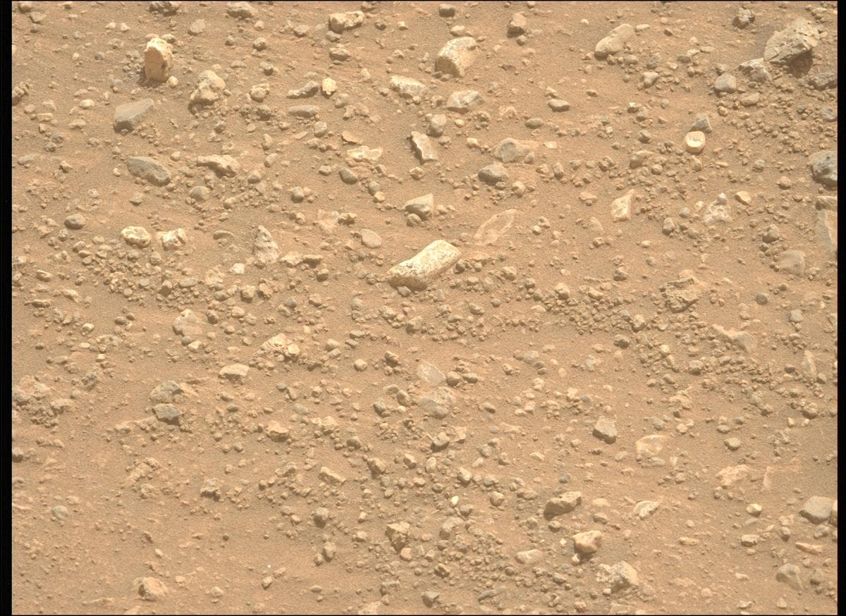 Mars rover photo