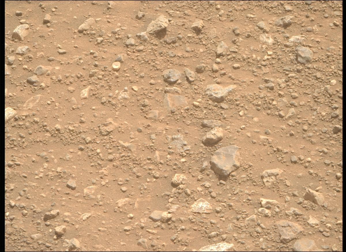 Mars rover photo