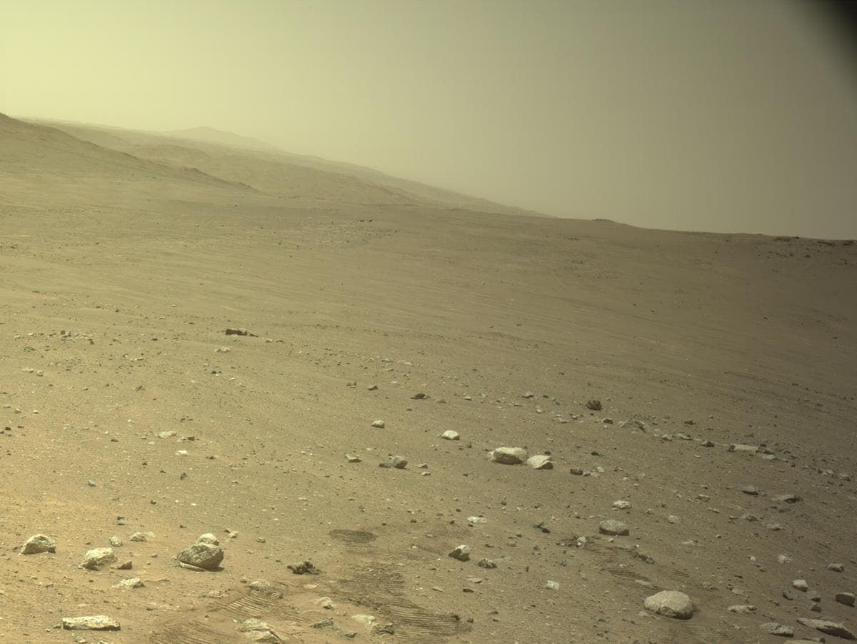 Mars image captured by NAVCAM_LEFT on Perseverance
