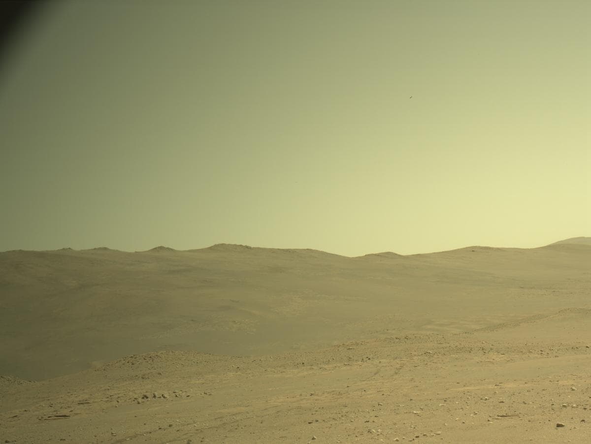 Mars image captured by NAVCAM_LEFT on Perseverance