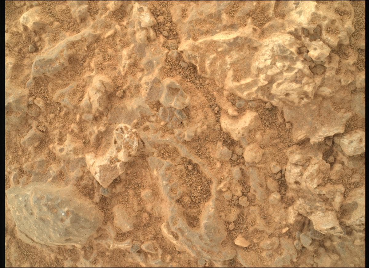 Mars image captured by SHERLOC_WATSON on Perseverance