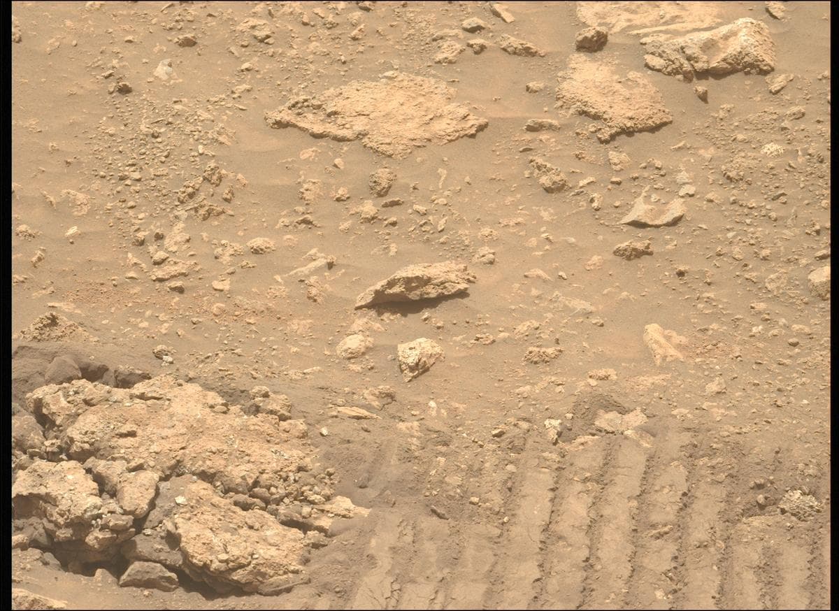 Mars image captured by MCZ_LEFT on Perseverance