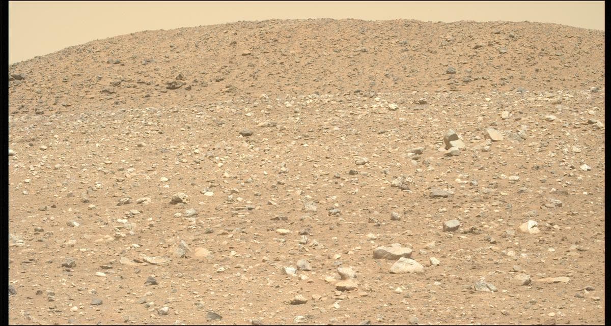 Mars image captured by MCZ_LEFT on Perseverance