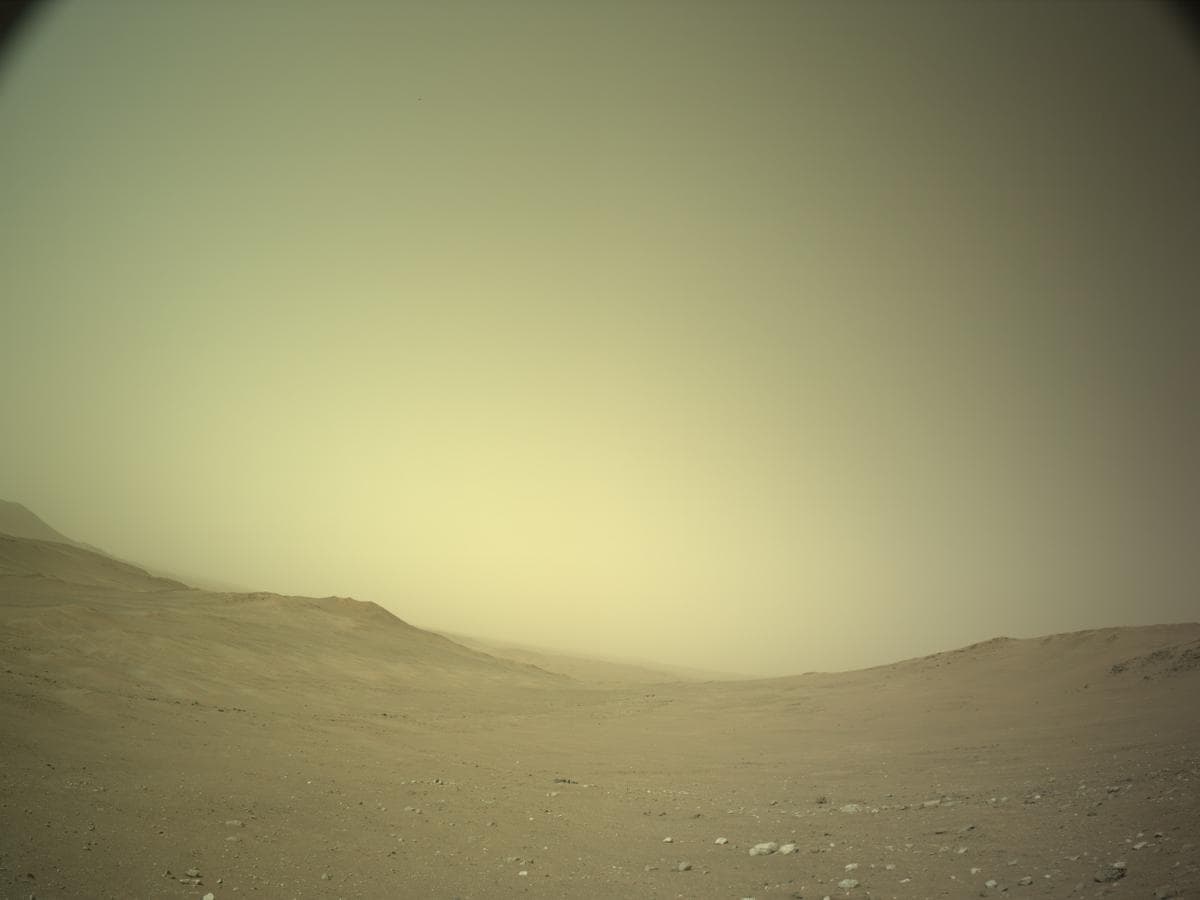 Mars image captured by NAVCAM_LEFT on Perseverance