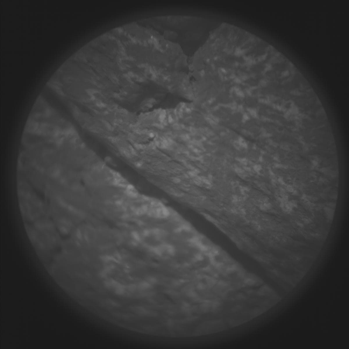 Mars image captured by SUPERCAM_RMI on Perseverance