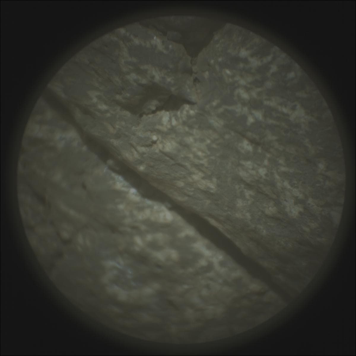 Mars image captured by SUPERCAM_RMI on Perseverance
