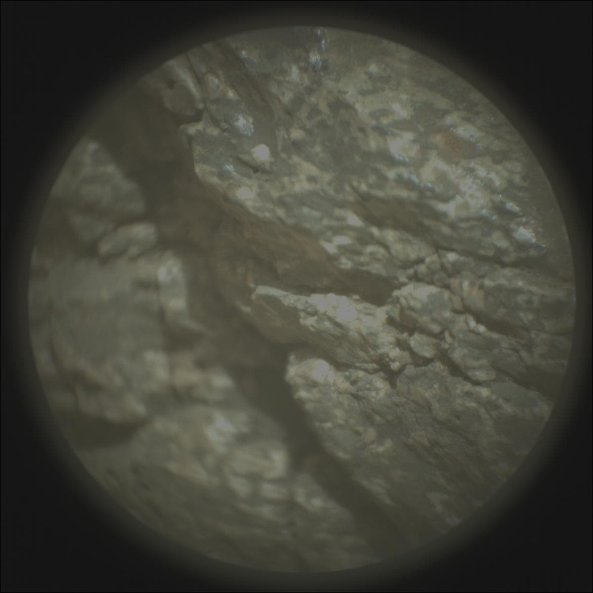 Mars image captured by SUPERCAM_RMI on Perseverance