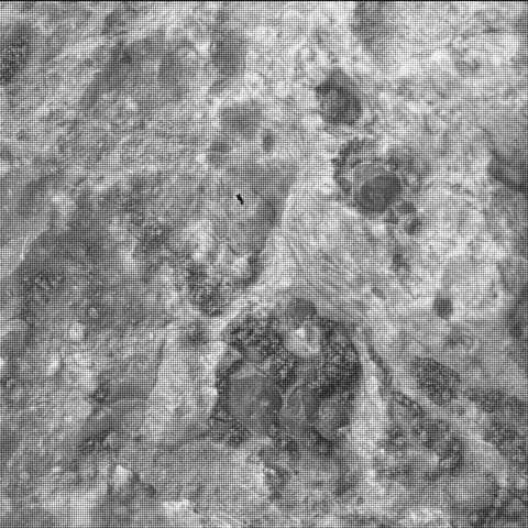 Mars image captured by SHERLOC_WATSON on Perseverance