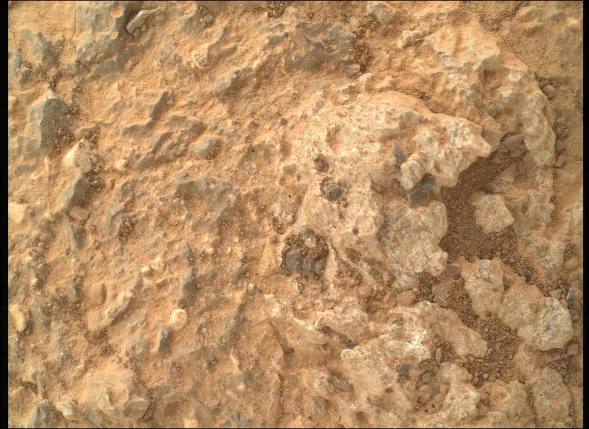 Mars image captured by SHERLOC_WATSON on Perseverance
