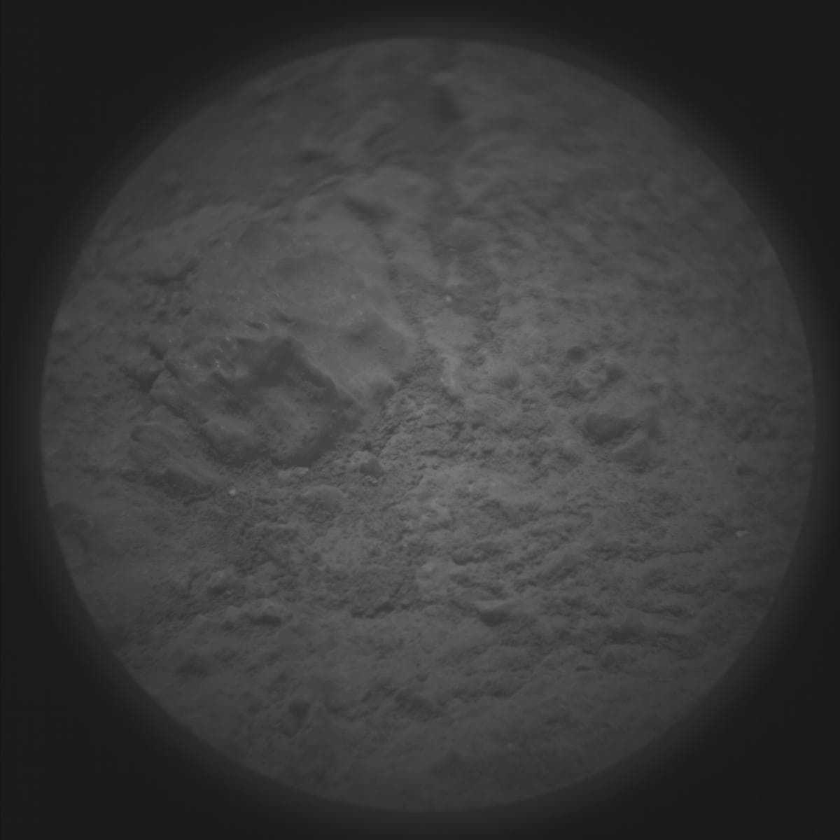 Mars image captured by SUPERCAM_RMI on Perseverance