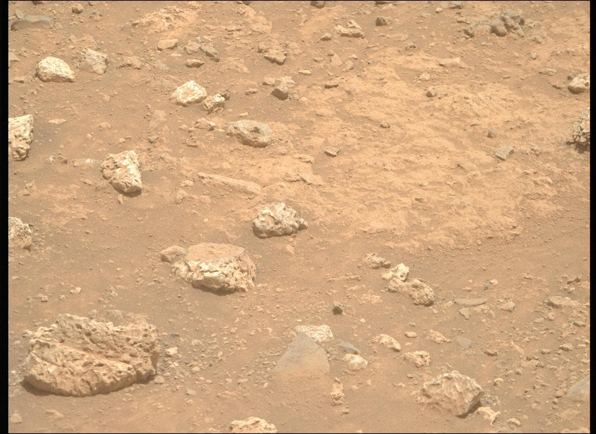 Mars image captured by MCZ_RIGHT on Perseverance