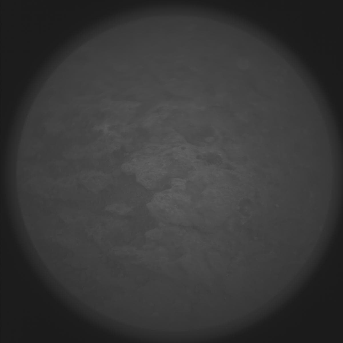 Mars image captured by SUPERCAM_RMI on Perseverance