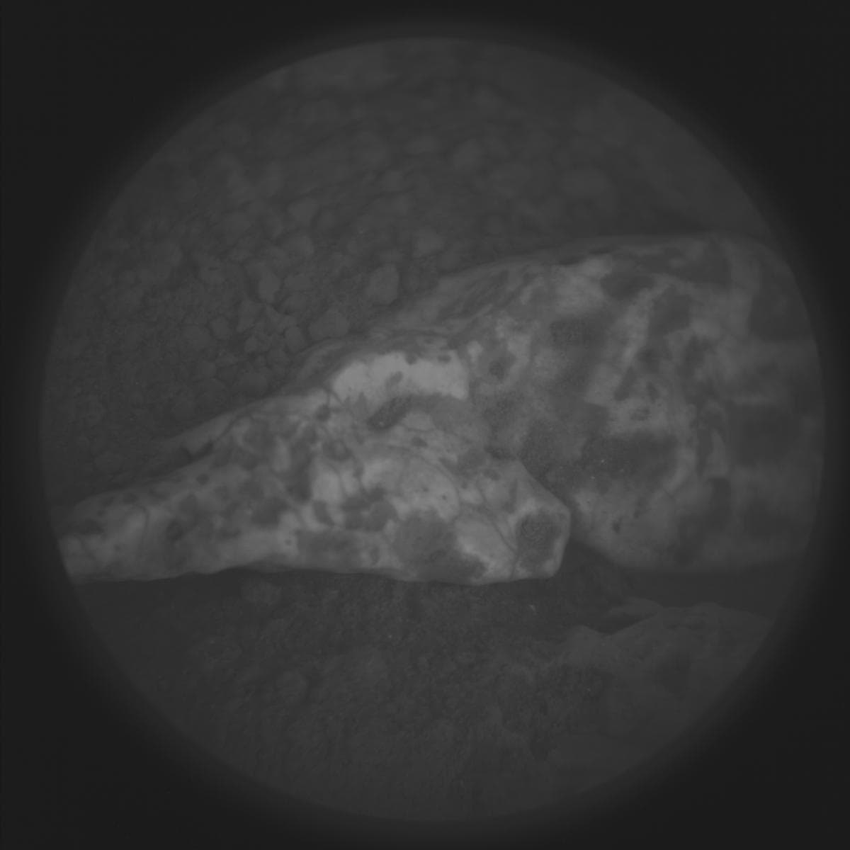 Mars image captured by SUPERCAM_RMI on Perseverance