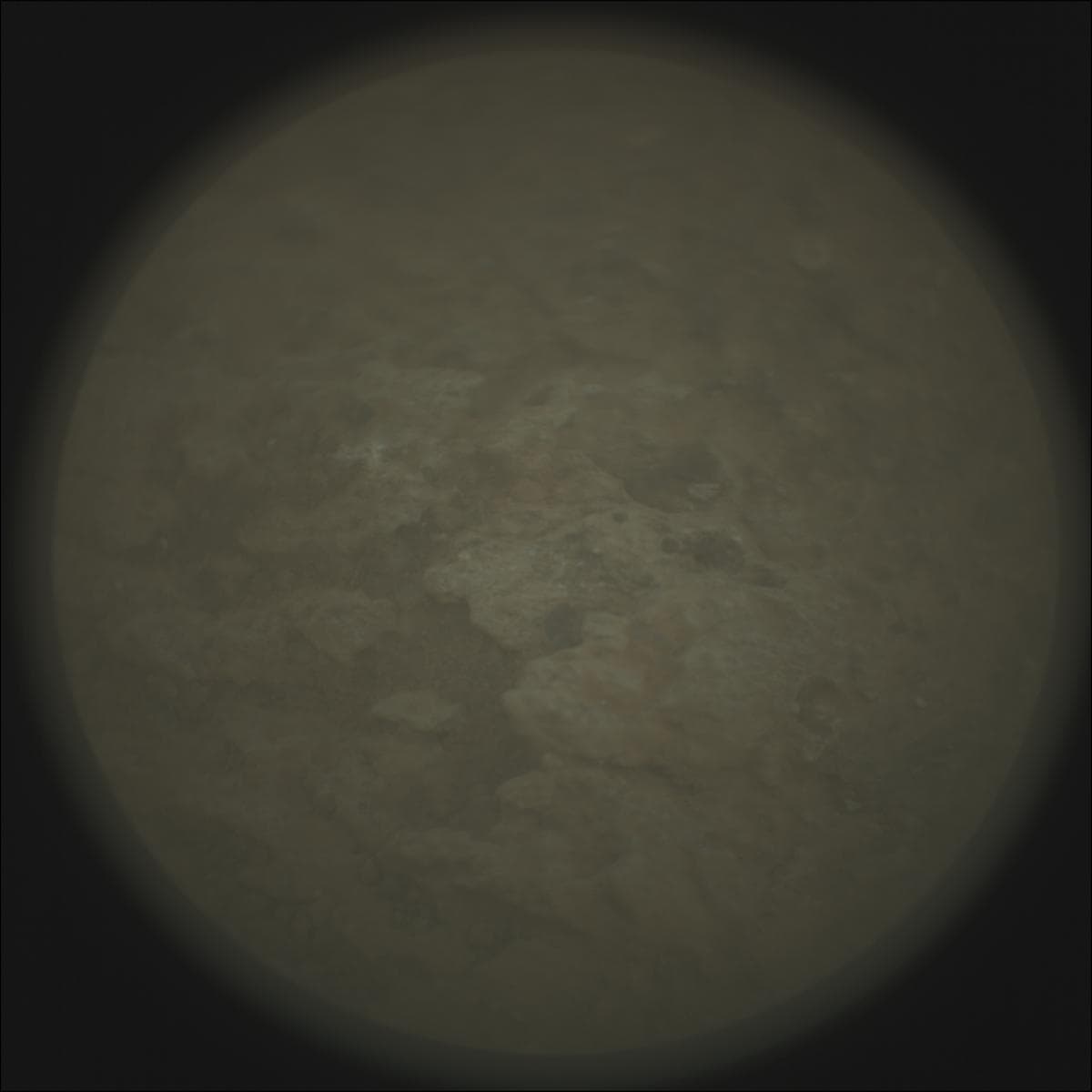Mars image captured by SUPERCAM_RMI on Perseverance