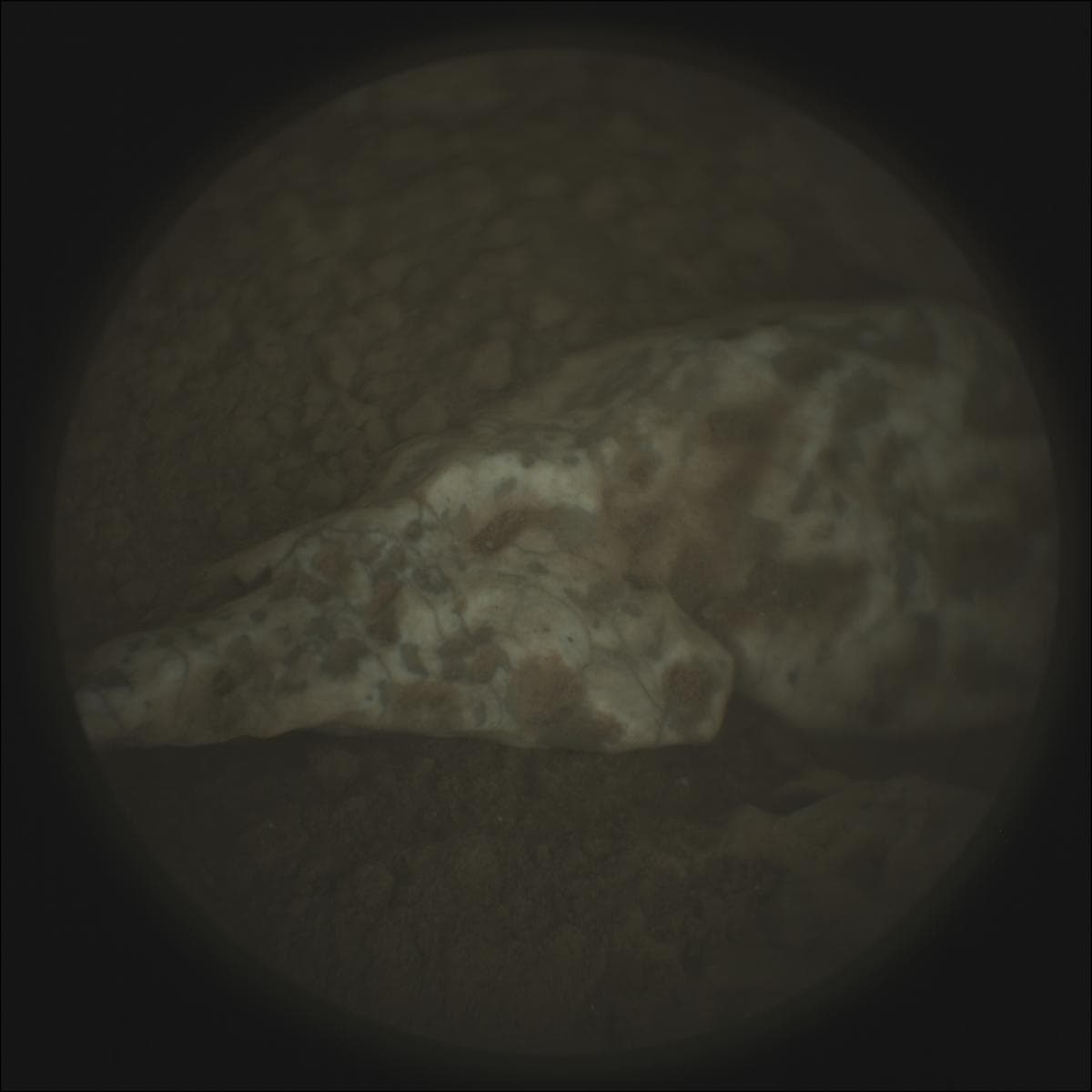 Mars image captured by SUPERCAM_RMI on Perseverance