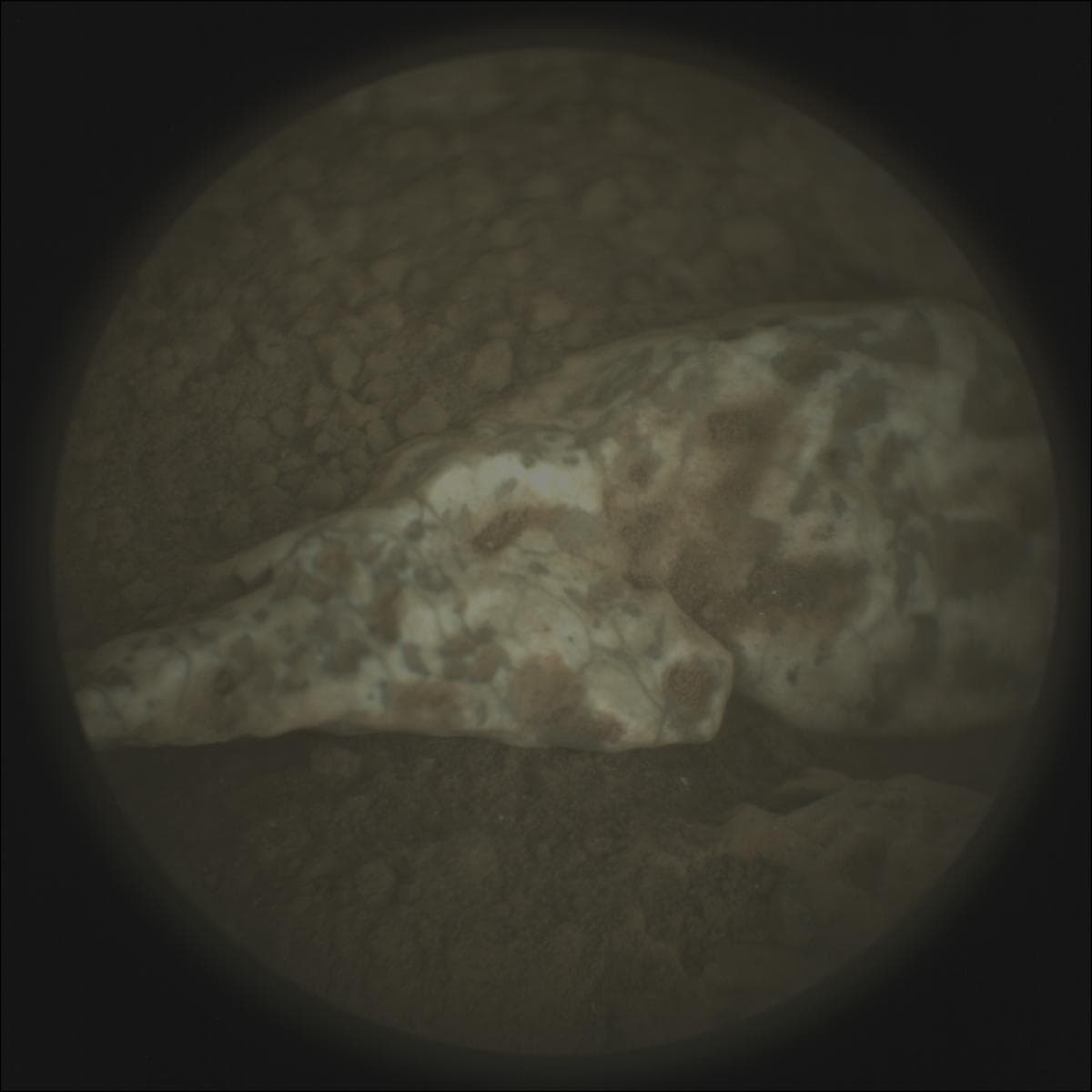 Mars image captured by SUPERCAM_RMI on Perseverance
