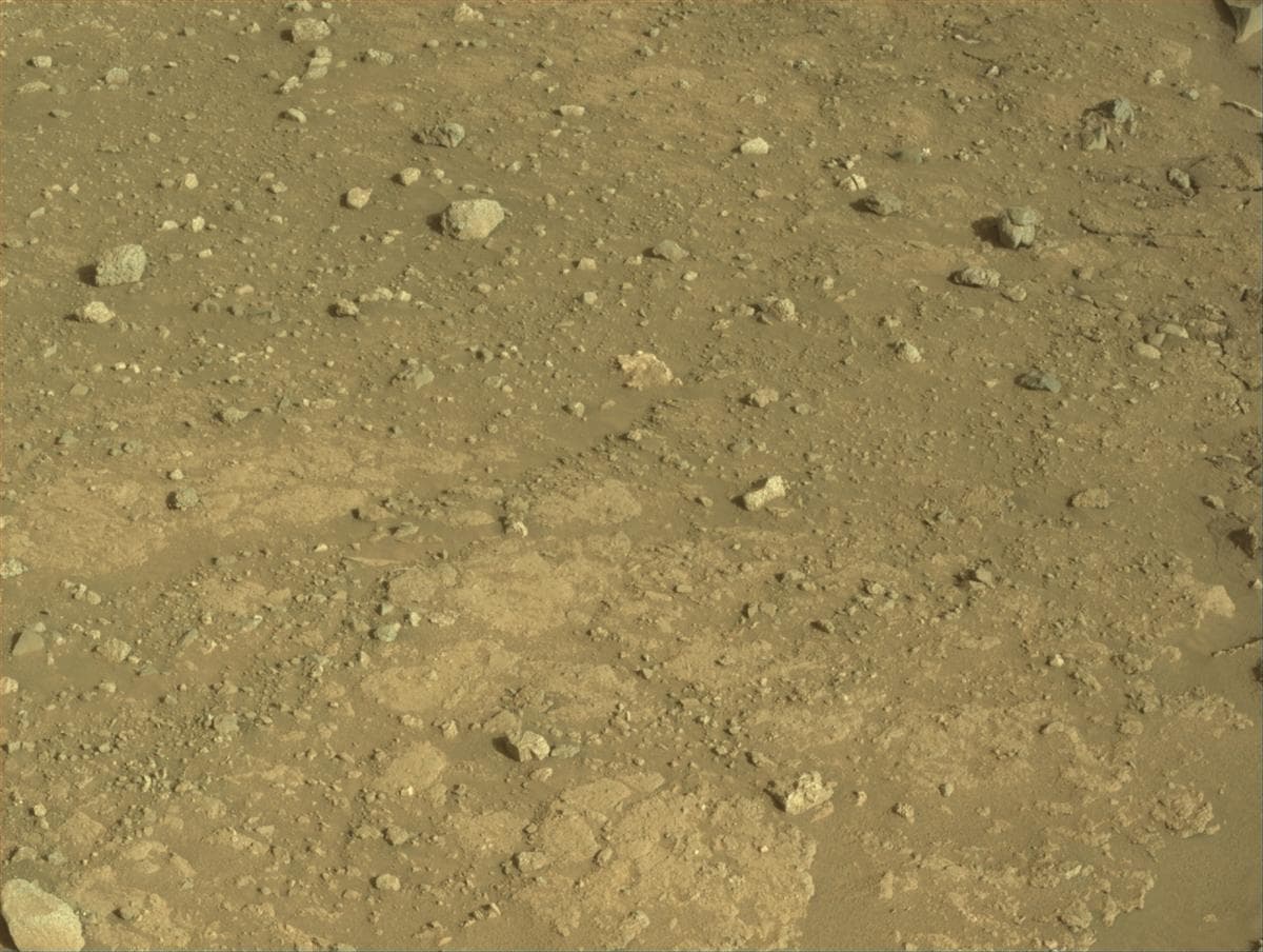 Mars image captured by NAVCAM_RIGHT on Perseverance