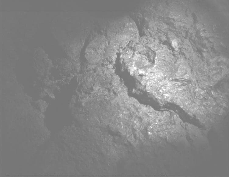 Mars image captured by PIXL_MCC on Perseverance